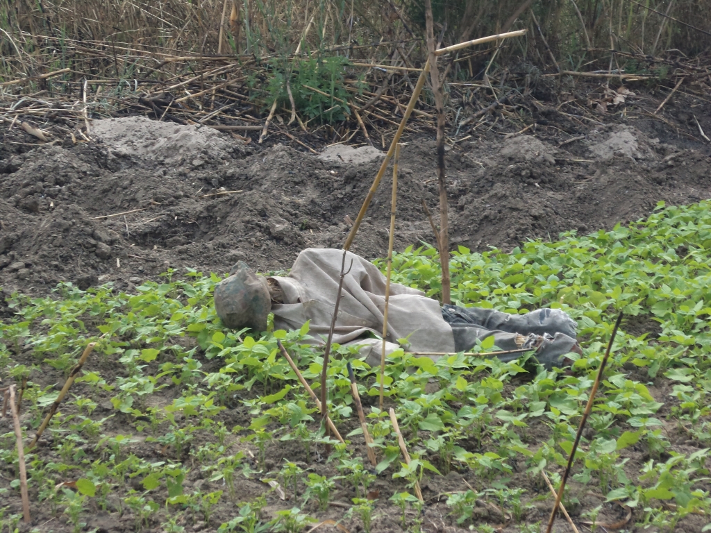 Could these be the mortal remains of Gordon Stockley?