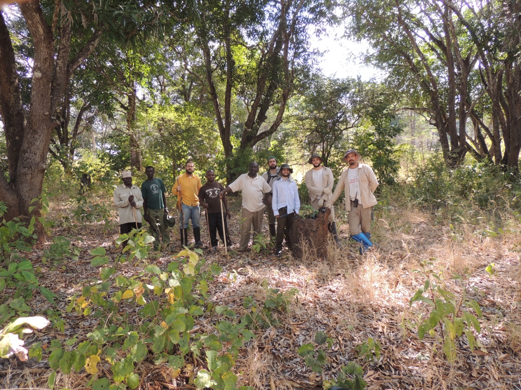 Old Msamara village