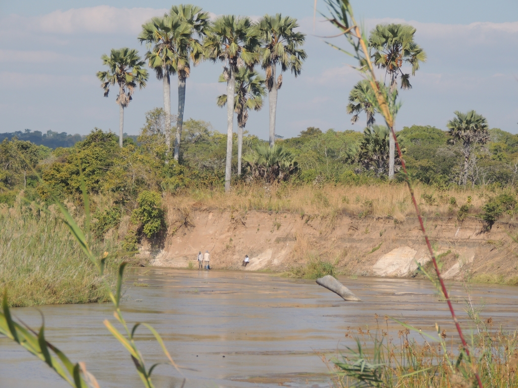 O belo Muhuwesi