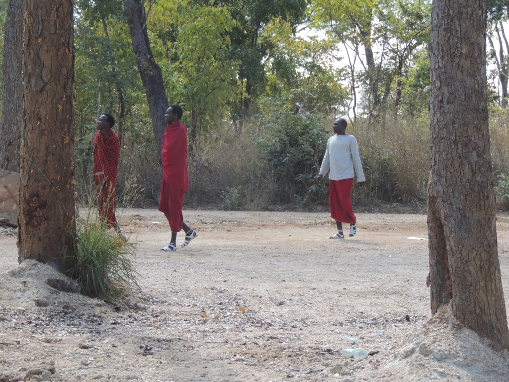 Masai people