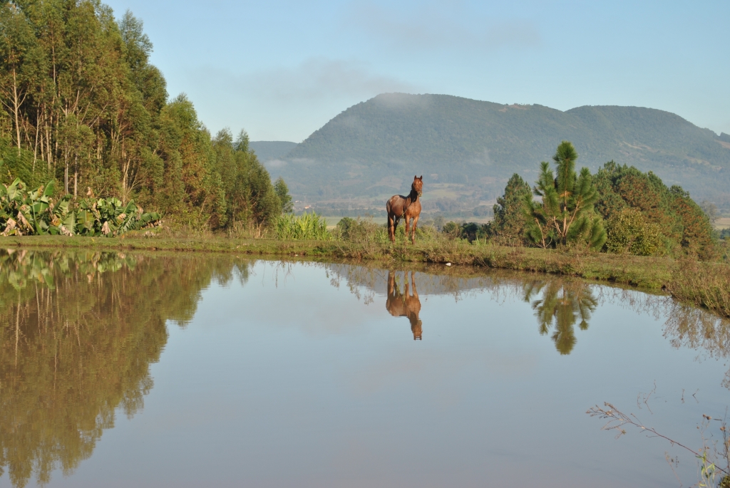 May/2015 field trip - Horse