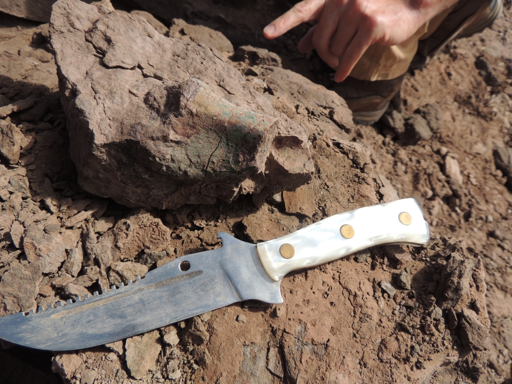Knife and bone