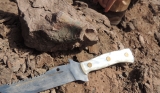 Knife and bone
