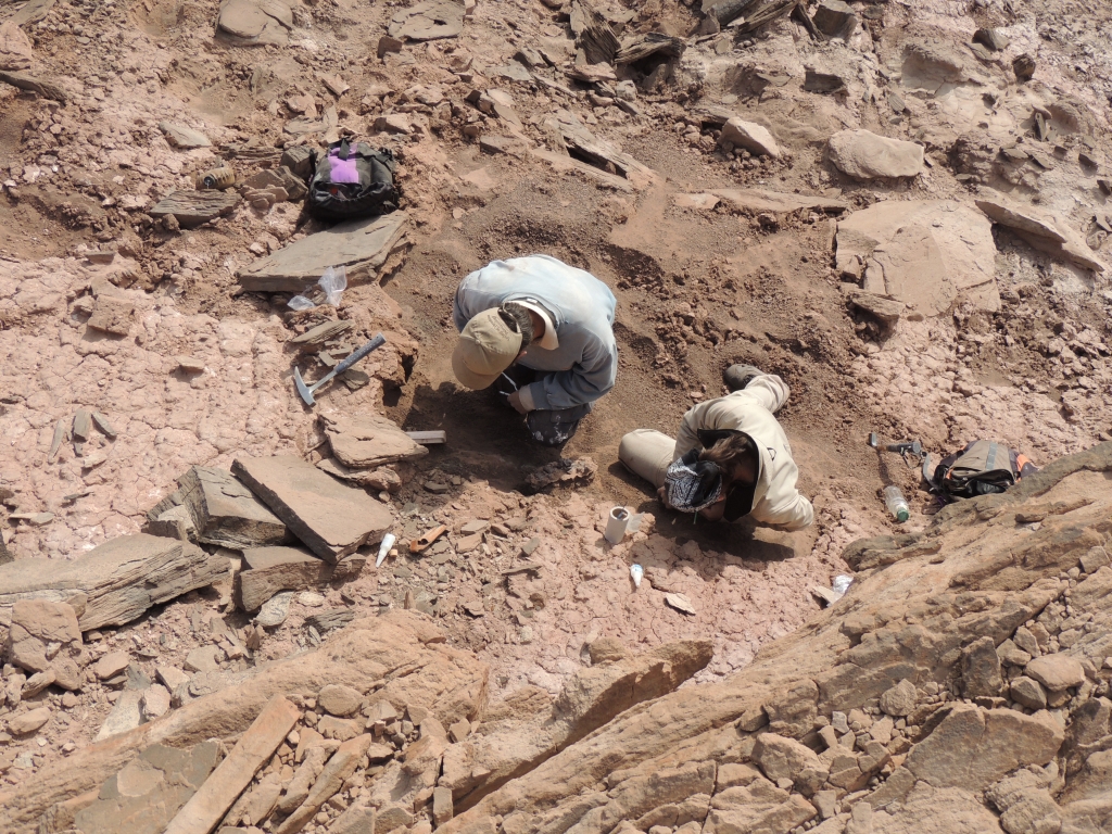 Martin and Belém digging