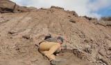 Digging Max