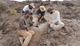 Digging crew