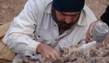 Digging
