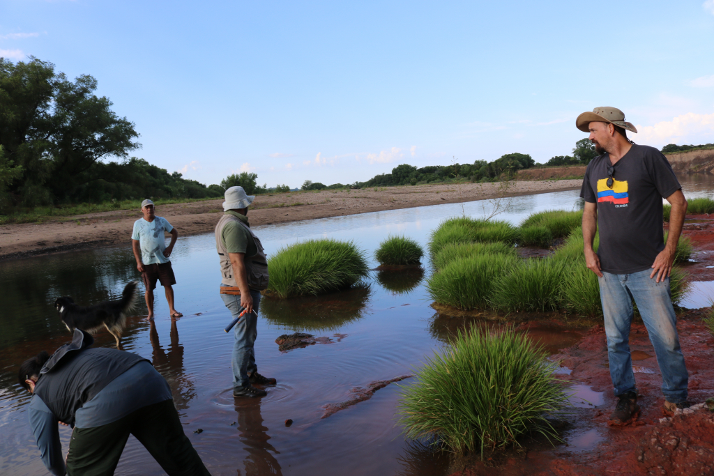 Campo Fevereiro/2019 - Fósseis no embasamento (Santana da Boa Vista)