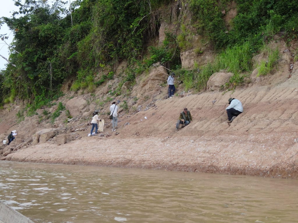 August/2013 field-trip - First prospections, Purus River