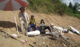 August/2013 field-trip - Leonardo, Marcos, Giovane, Ricardo The amazing <i>Chellus</i> digging, Purus River