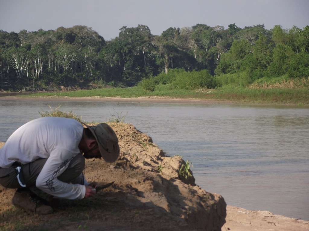 August/2013 field-trip - More prospecting, Rio Purus