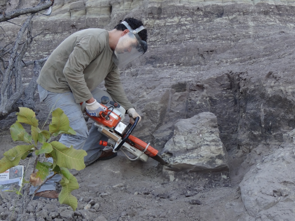 May/2012 field trip - Marcos at <i>Batrachomimus</i> digging