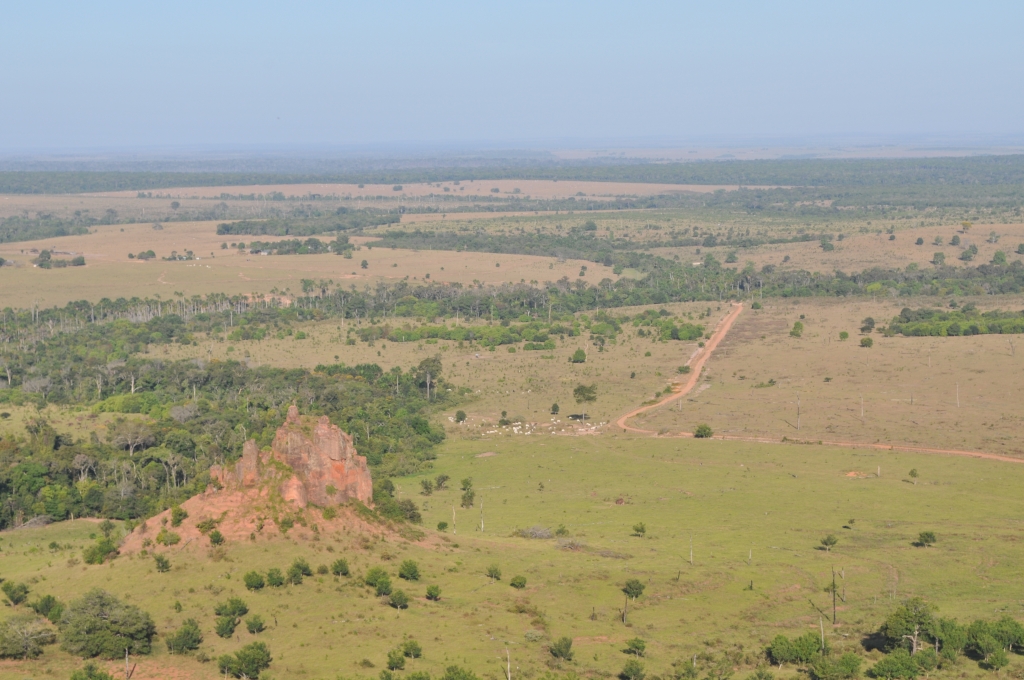 June/2011 field work - General view of cretaceous landscape, Tangará da Serra-MT