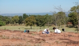 Campo Junho/2008 - Primeiras prospecções na Serra das Inhumas