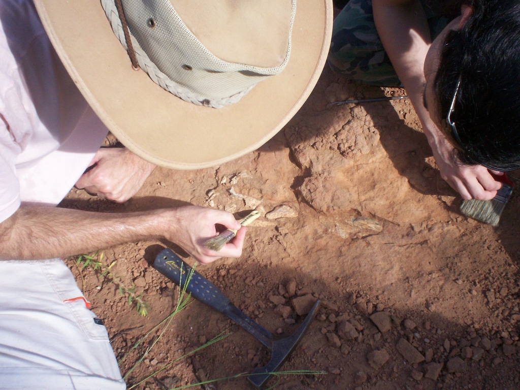 March/2011 field work - Discovering Aplestosuchus, General Salgado