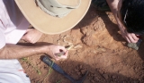 March/2011 field work - Discovering Aplestosuchus, General Salgado