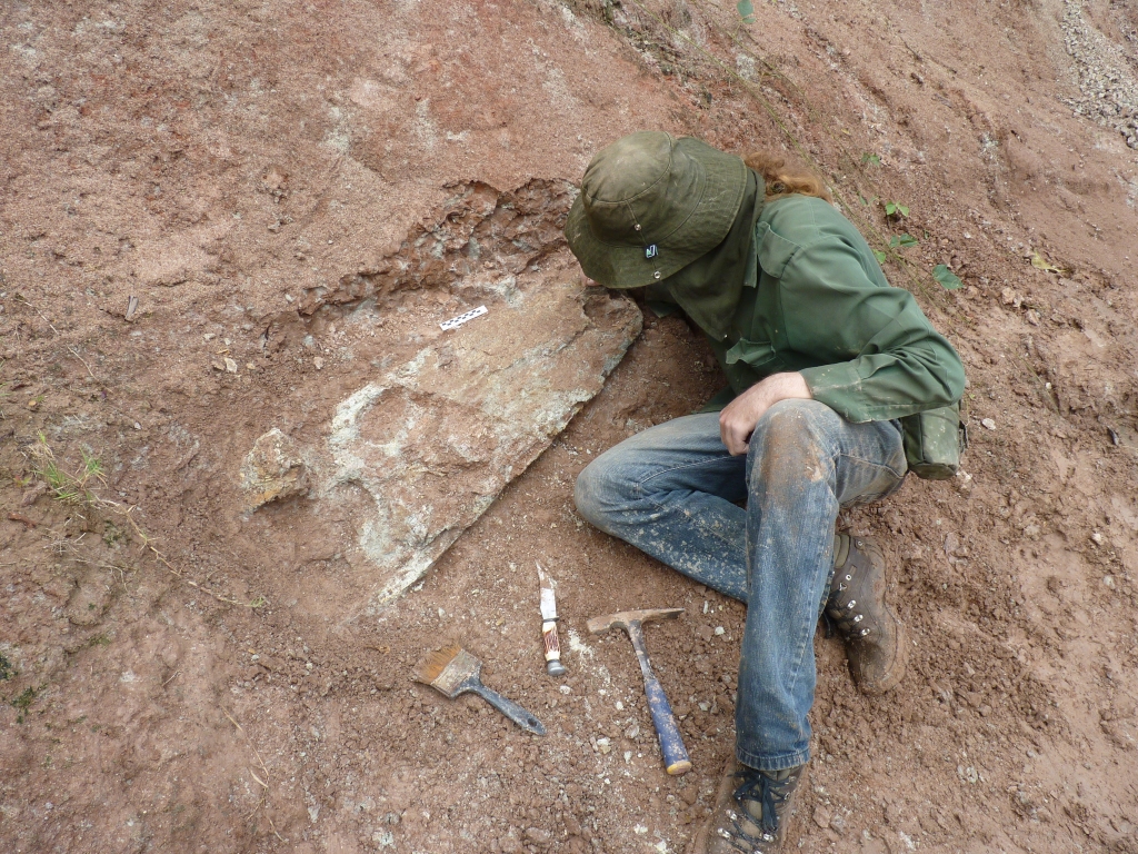 August/2014 field-trip - Digging a Mourasuchus skull, Juruá river