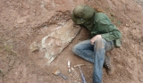 August/2014 field-trip - Digging a Mourasuchus skull, Juruá river