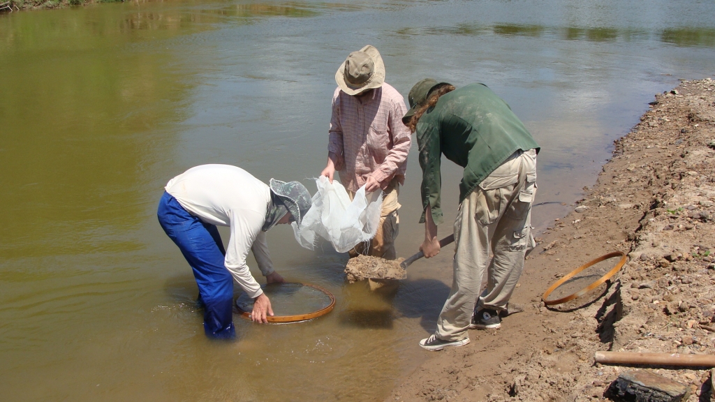 August/2014 field-trip - Sieving sediments, Juruá river