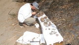 February/2014 field trip - Picking fossils in the field, La Grita