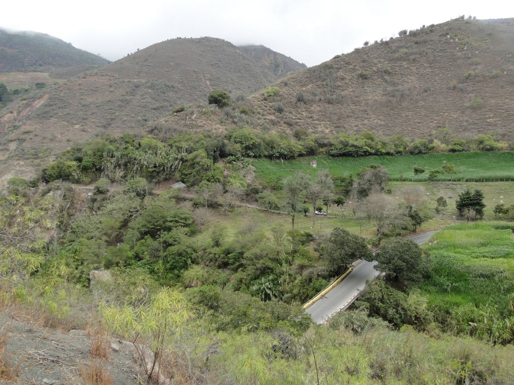 February/2014 field trip - Where is the type-locality, La Grita