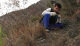 February/2014 field trip - Marcos digging at the type-section of La Quinta Formation