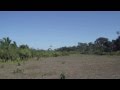 Foz do Breu landing