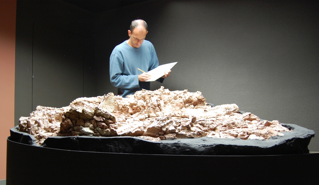 Max studying one of the famous Ghost Ranch blocks containing Coelophysis.  Albuquerque (2009)