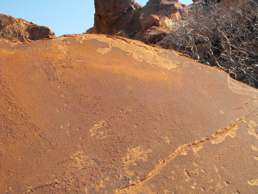 Tracks in the Twyfelfontein Formation