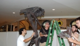 Making of the exhibition 'Dinossauros da Patagônia', Ribeirão Preto (2011)