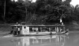 Campo Agosto/2013 - Vista do barco, Rio Purus