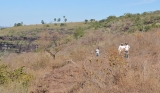 June/2011 field work - Império Quarry, Alto Garças -MT