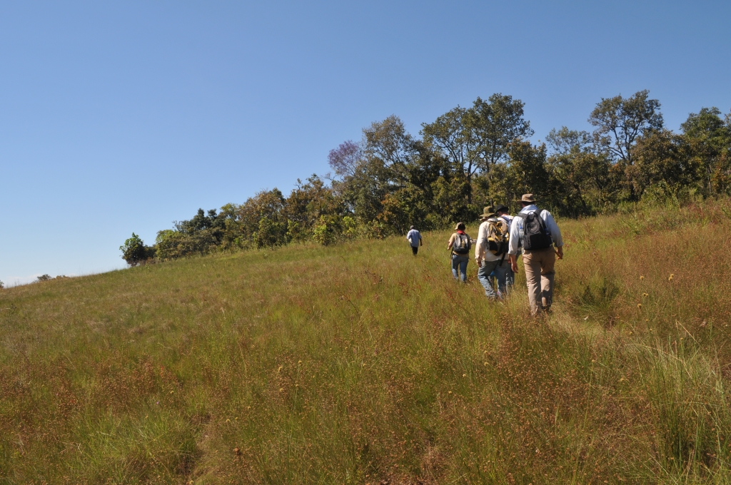 June/2011 field work - Trail to Cambambe Hill, Chapada dos Guimarães -MT