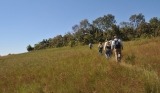 June/2011 field work - Trail to Cambambe Hill, Chapada dos Guimarães -MT