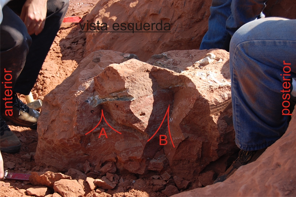 May/2009 field trip - Suddenly, red letter and line apear in the outcrop