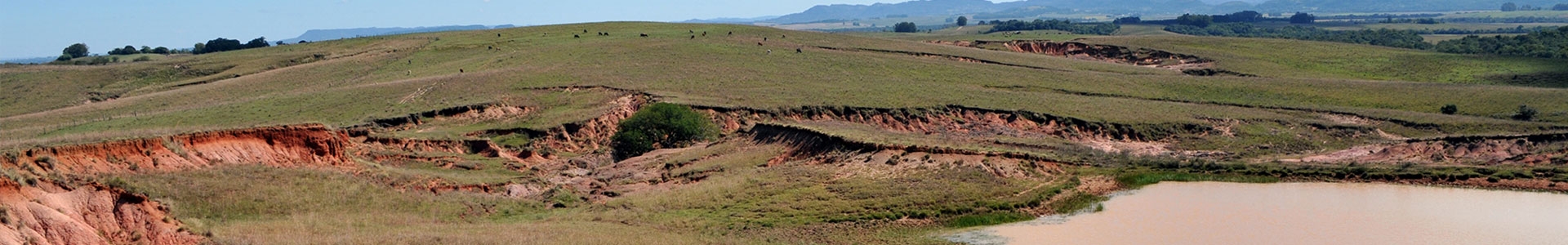 Santa Maria Formation